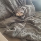 Finnigan thinks he's slick (he got like this himself)

— u/chelseatheus