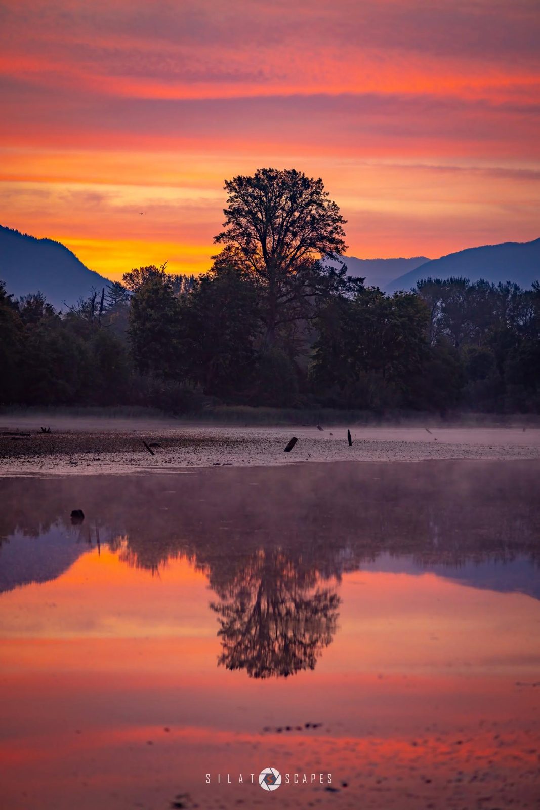 Borst Lake Sunrise, Snoqualmie, WA, USA [1366x2048][OC]

— u/msilat