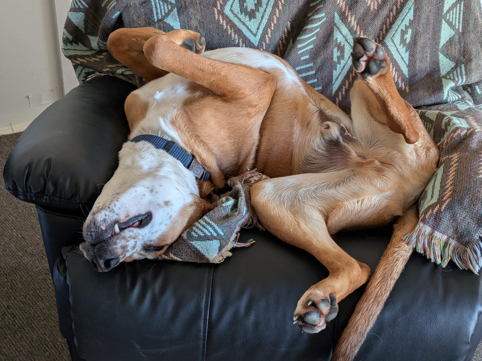Seymour can make any chair look comfy.

— u/bigbadwazza