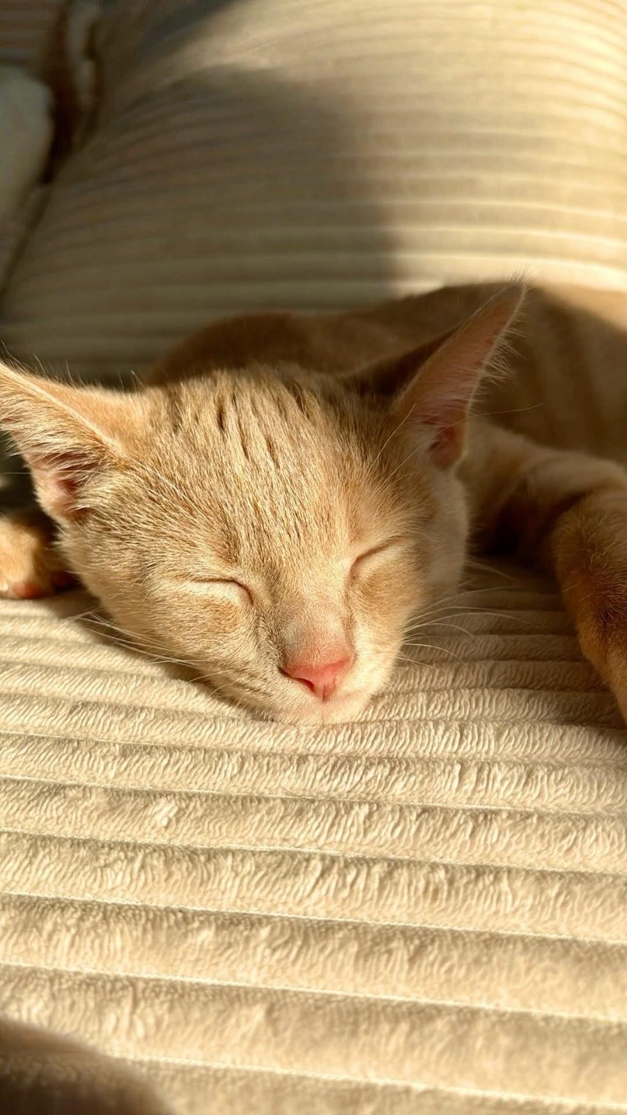 Look who's chilling

— u/SubstantialRole1817