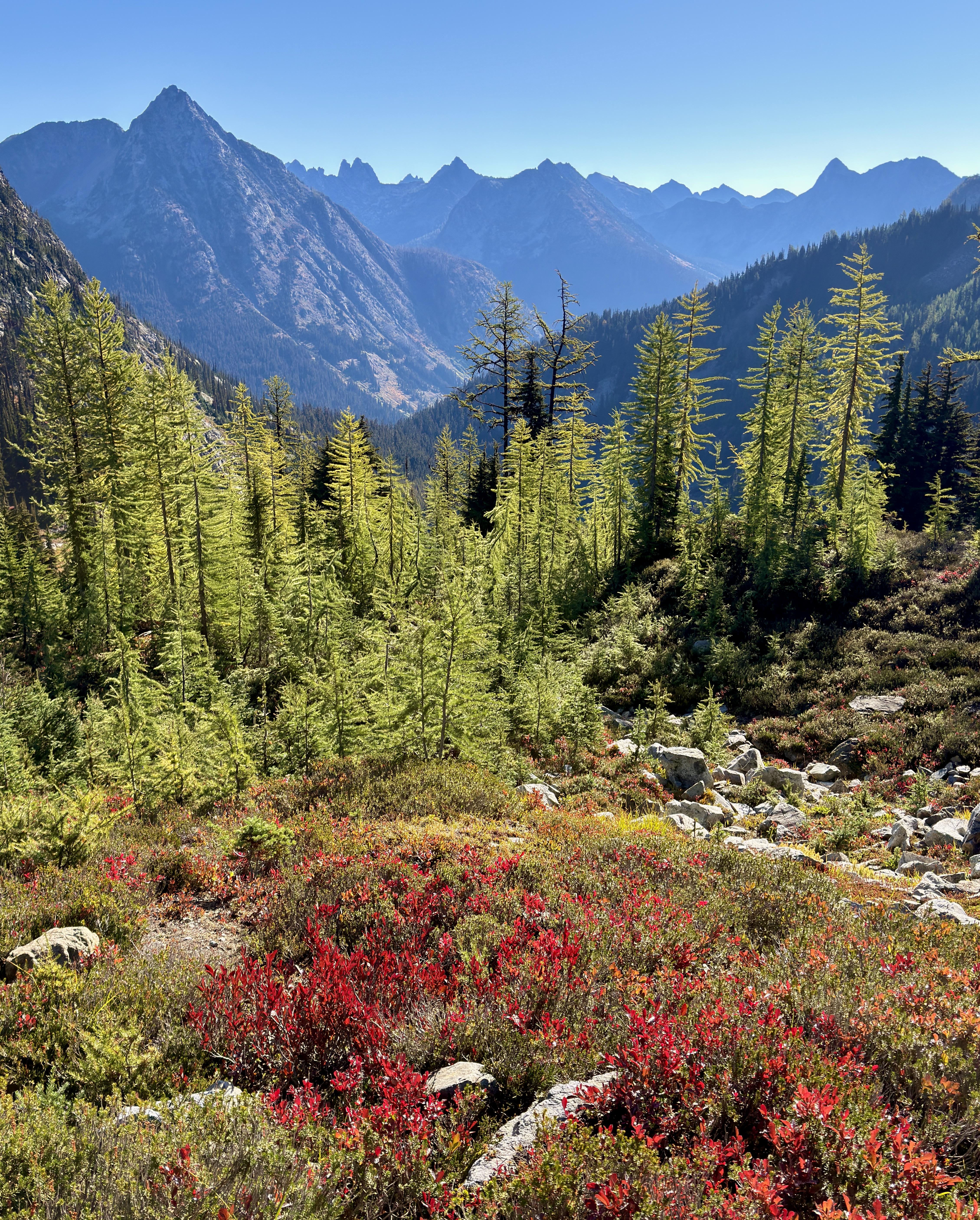Sunny day in the North Cascades, Washington (4519x5625)(OC)

— u/Alaric_Darconville