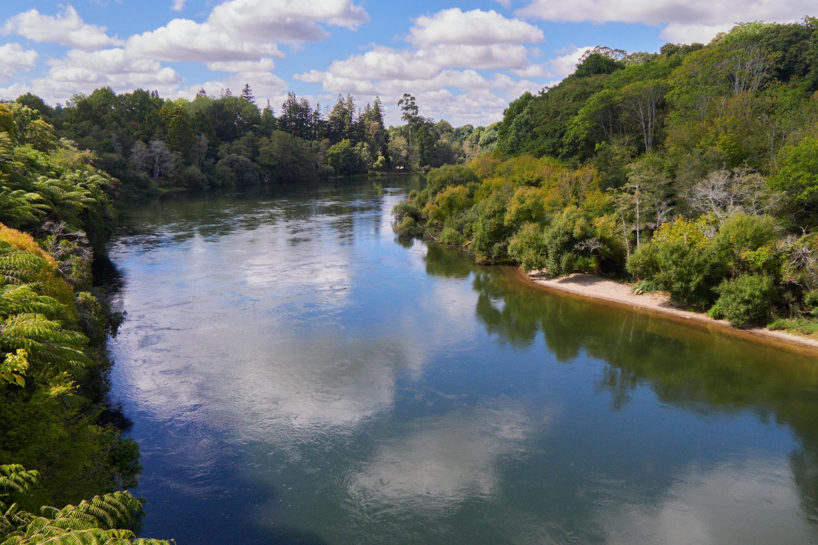 Waikato River, New Zealand [OC] [5498x3666]

— u/sonderewander