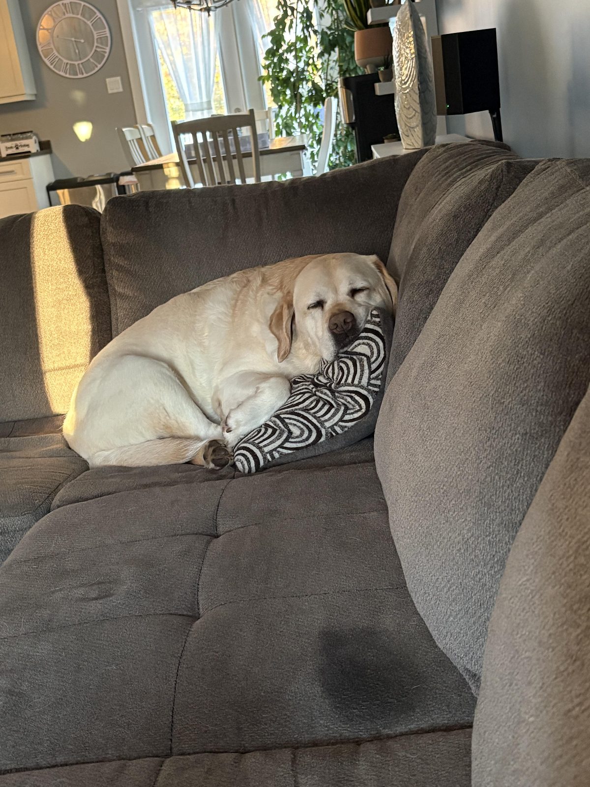 He is the true potato

— u/Smc1309