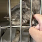 I went to an animal shelter

— u/digital_espresso