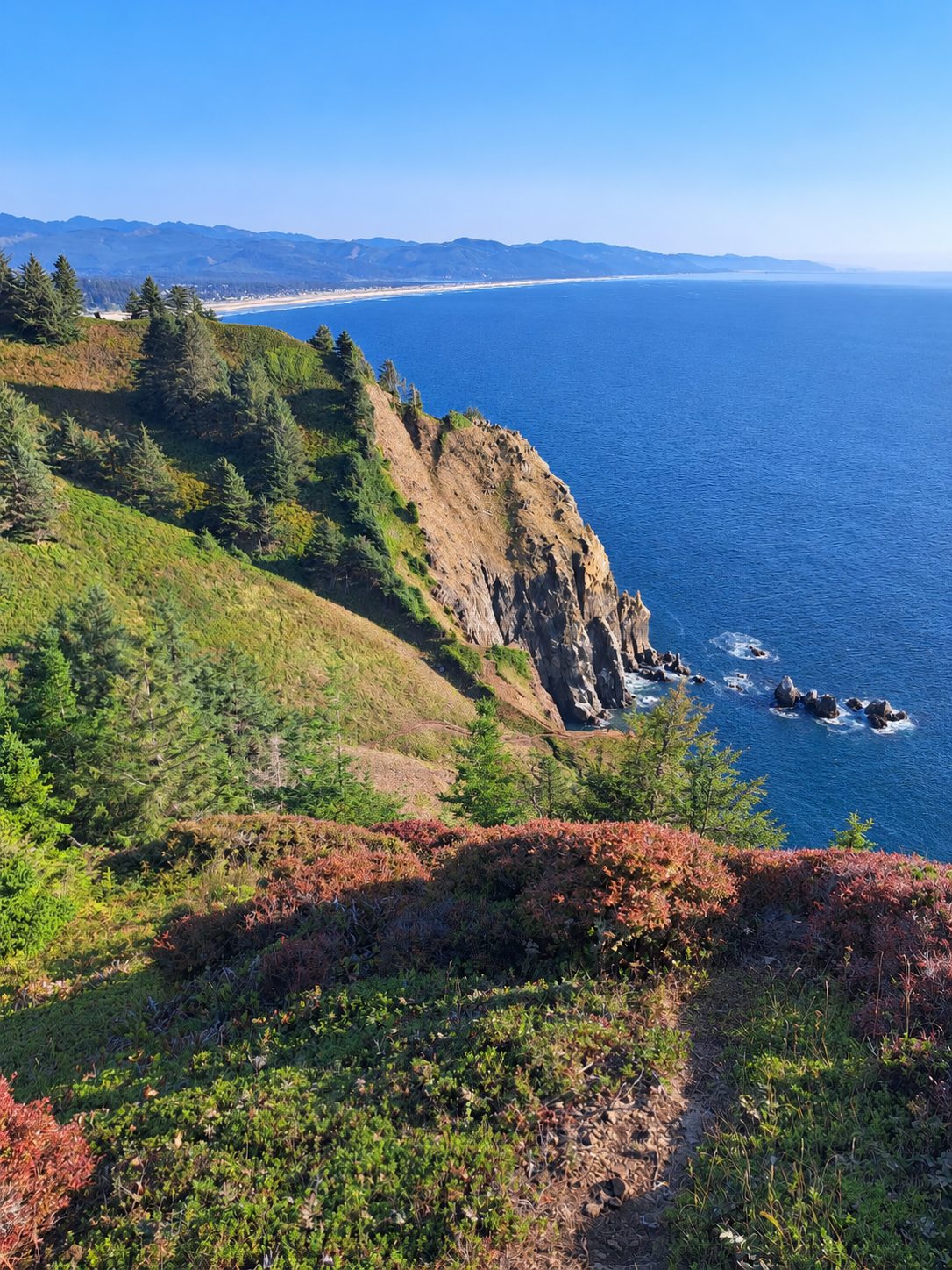 Oregon coast is best coast. Elk Flats, Oregon [1086x1448][OC]

— u/faderjack