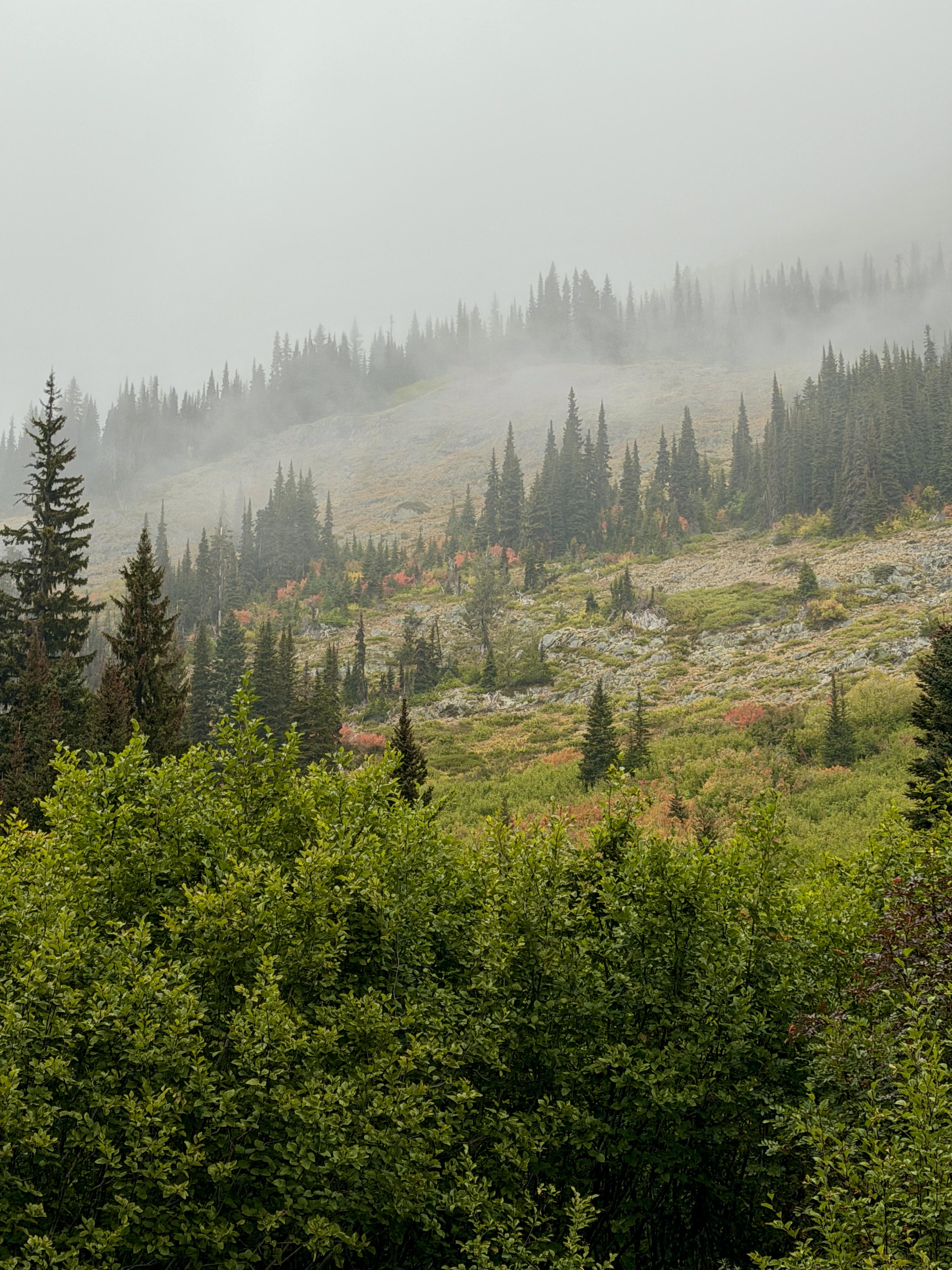 Morning mist near Bridge Creek, Washington (3024x4032)(OC)

— u/Alaric_Darconville