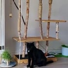 Lust (black) from our shelter, now in his forever home. He’s doing really well; he’s slowly getting used to his new home