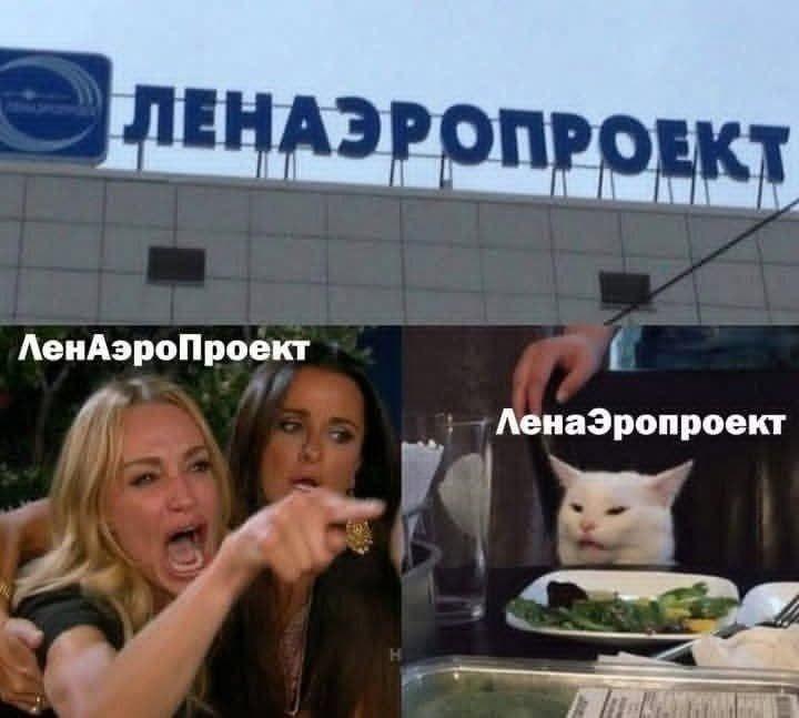 Woman yelling at a cat

— u/cPunk238