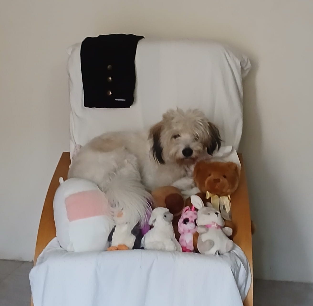 Meet Bobo

— u/skrglywtts