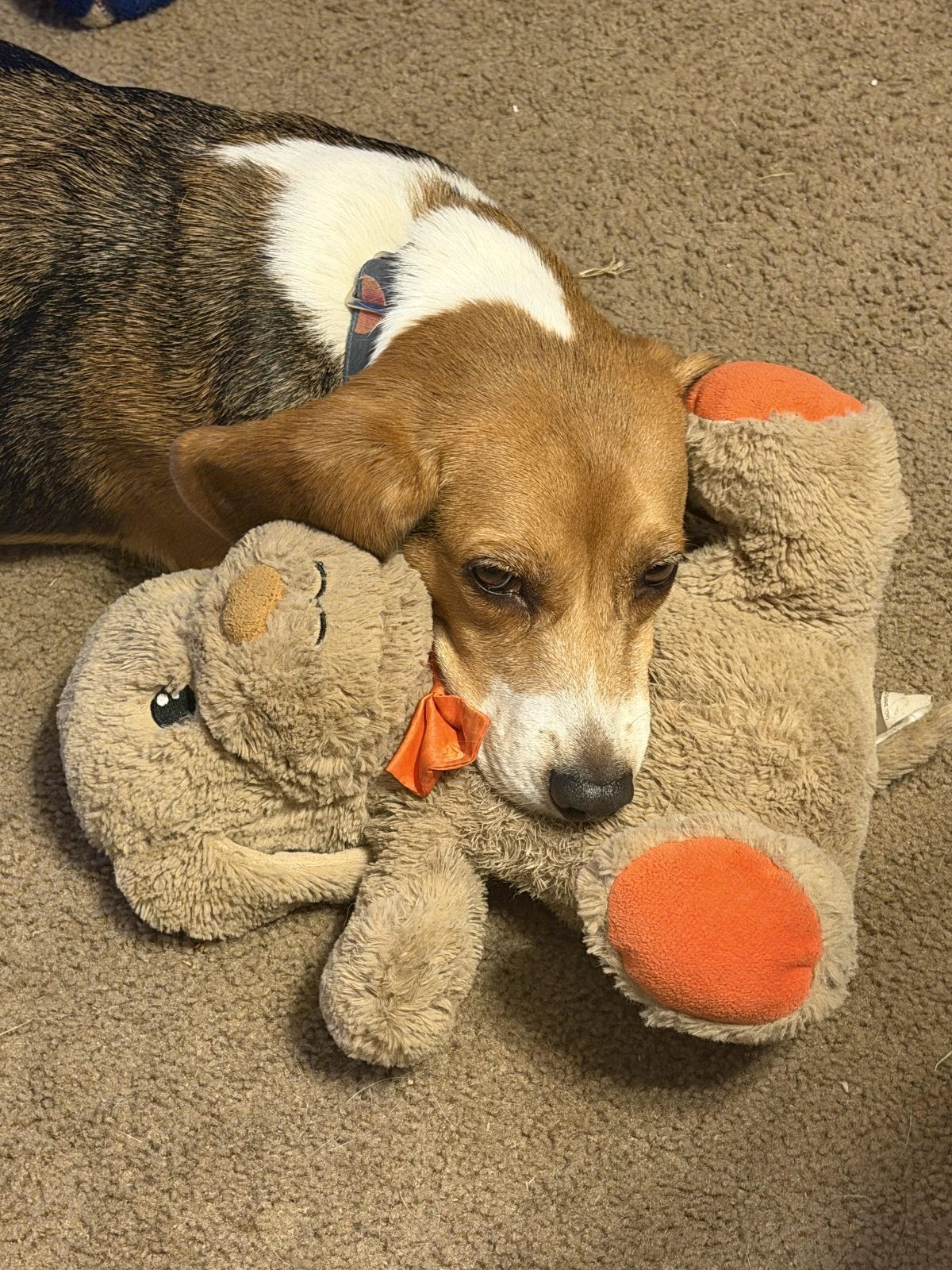 I think someone is done playing tonight.

— u/DareDiablo