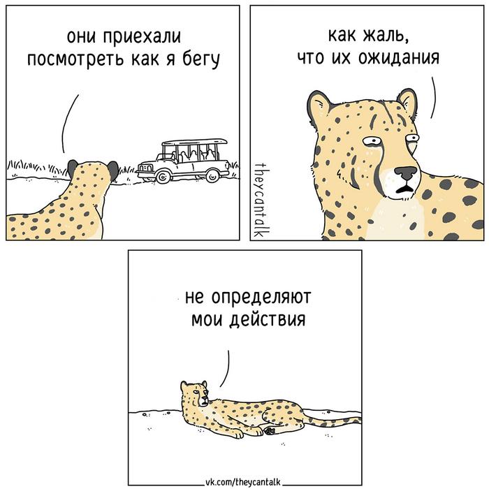 Ожидания.

They can talk.

— u/_ProstoKote