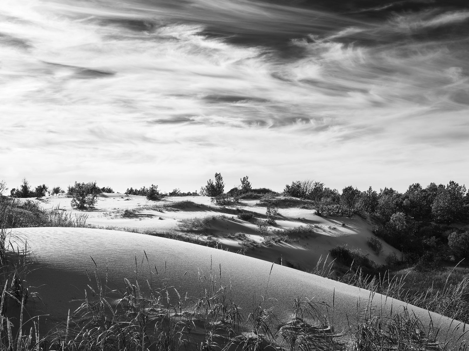 Sand's Long Breath, Silver Lake Dunes, Michigan [4800x3600][OC]

— u/Time-Maintenance8742