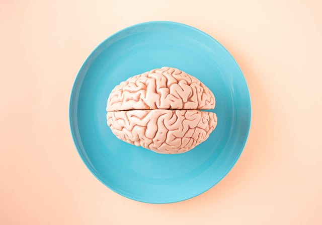 Testosterone helps new brain cells survive, but timing matters, study in male rats suggests

Ссылка: https://medicalxpre