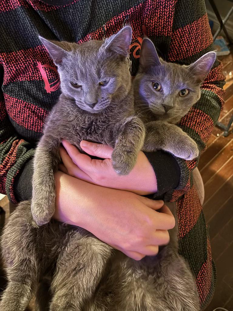 My wife holding our bonded boys

— u/Dalkx