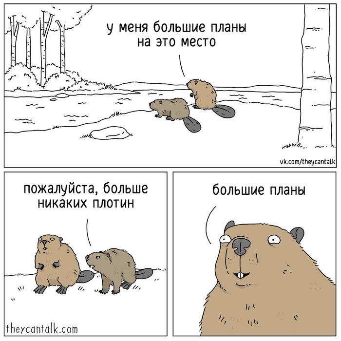 Большие планы.

They can talk.

— u/_ProstoKote