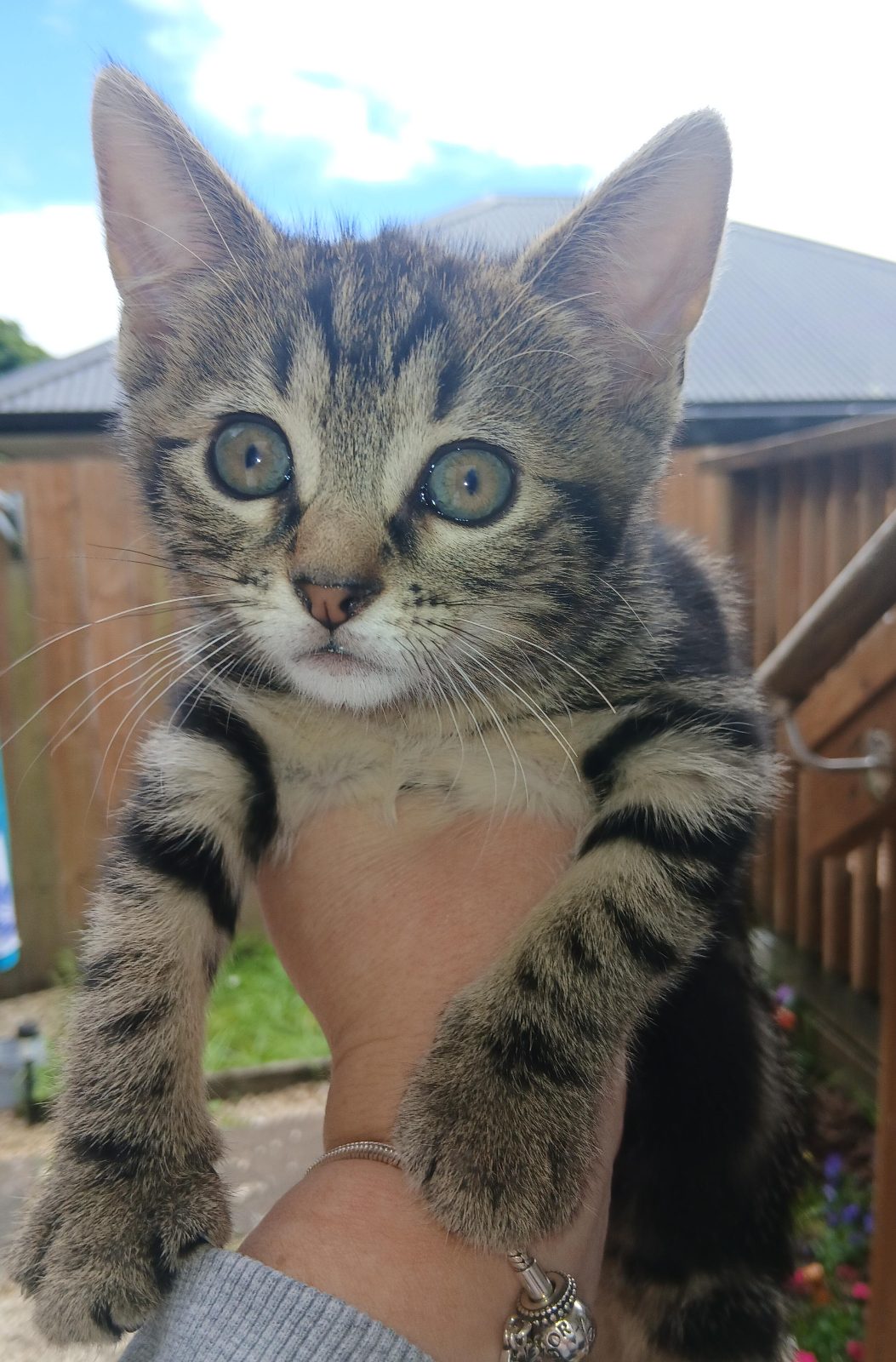 Hello world 😍

— u/NoProfile5680