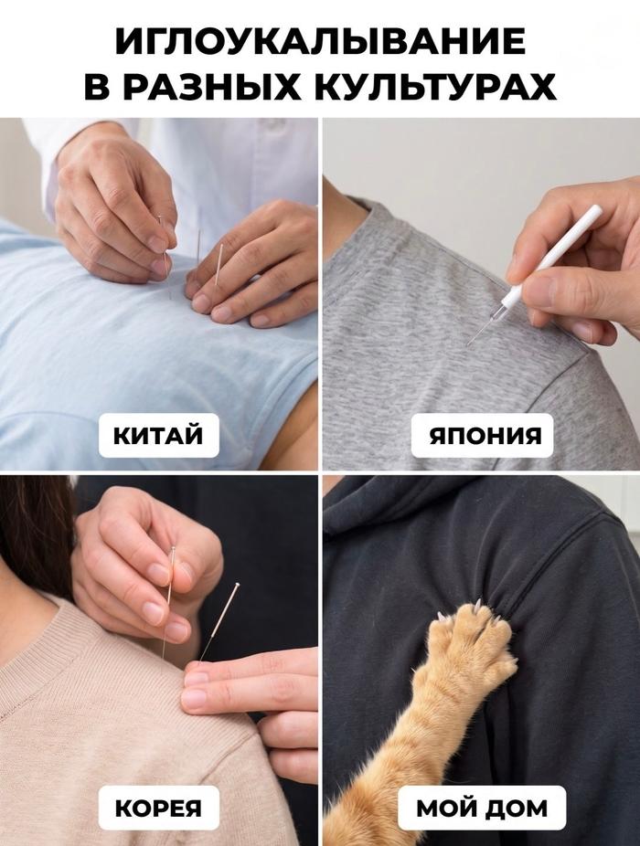 Иглоукалывание.

— u/_ProstoKote