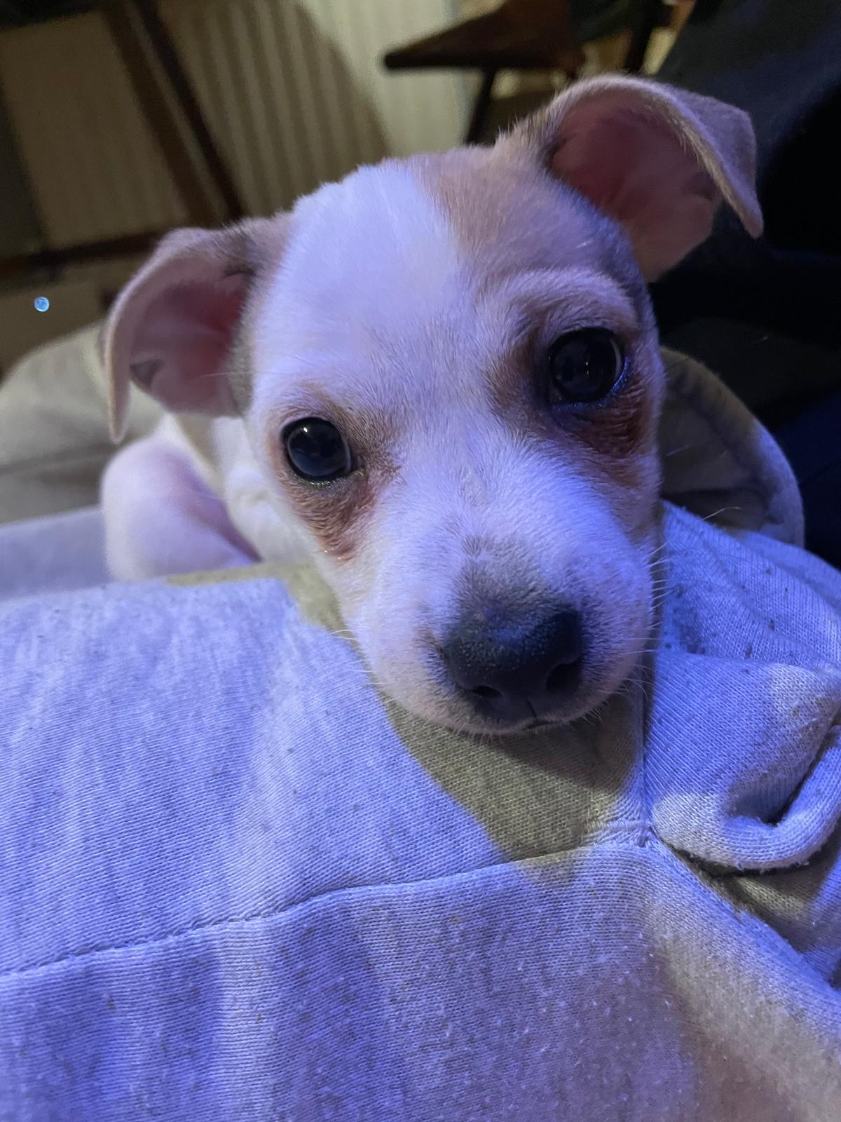 Idk, I feel like he's kinda cute 🥺

— u/Easy_Message1869