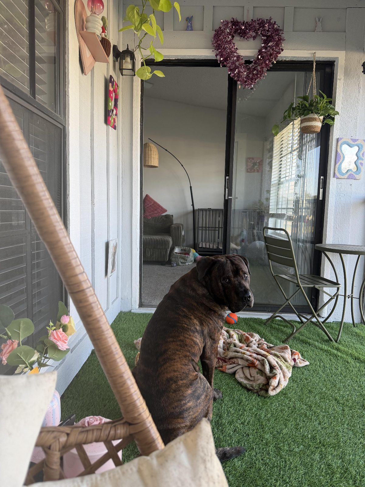 “You called mom?” -Swissybear

— u/Confident_Ad2983