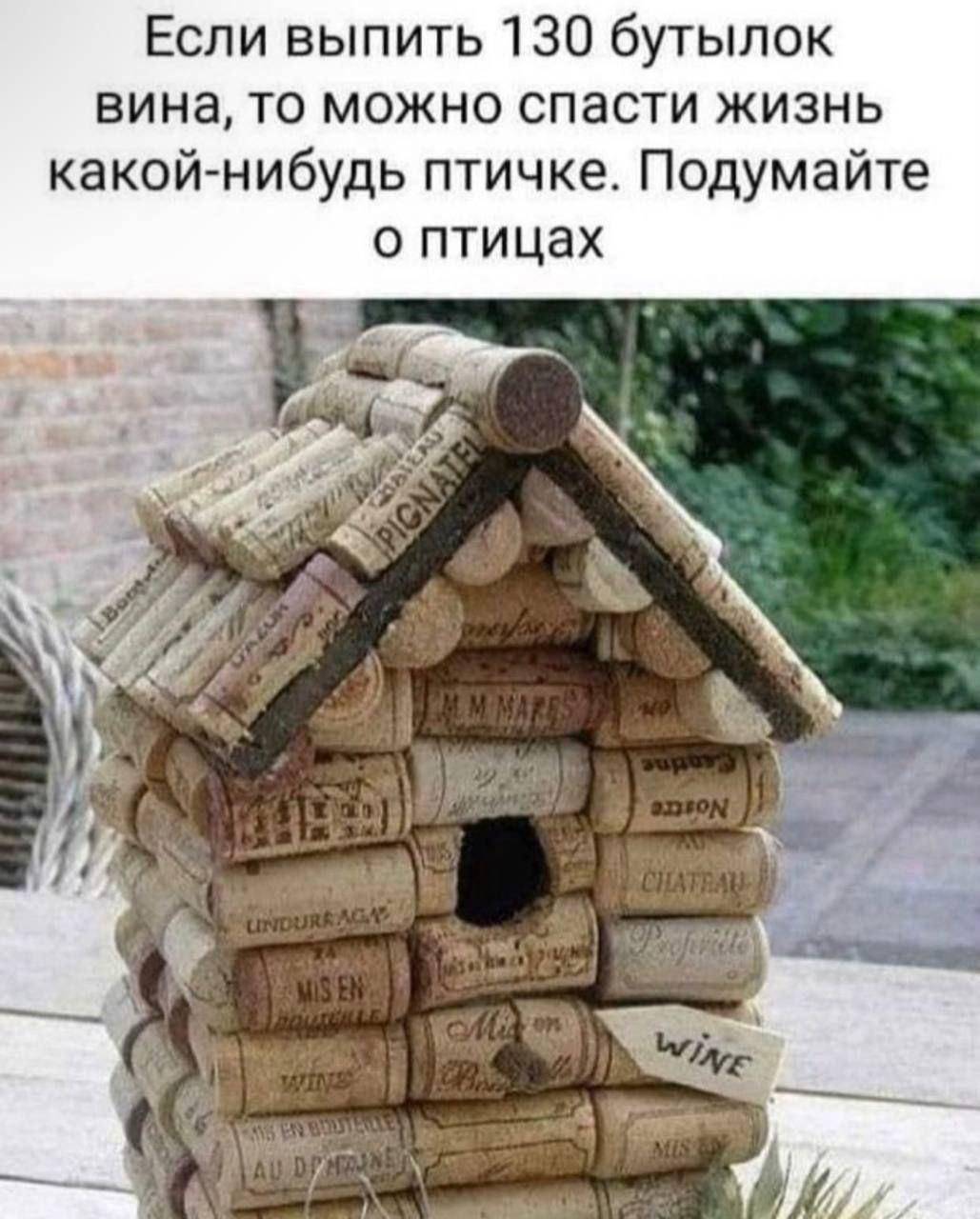 Пришло время подумать о птичках

— u/DarkAster_86