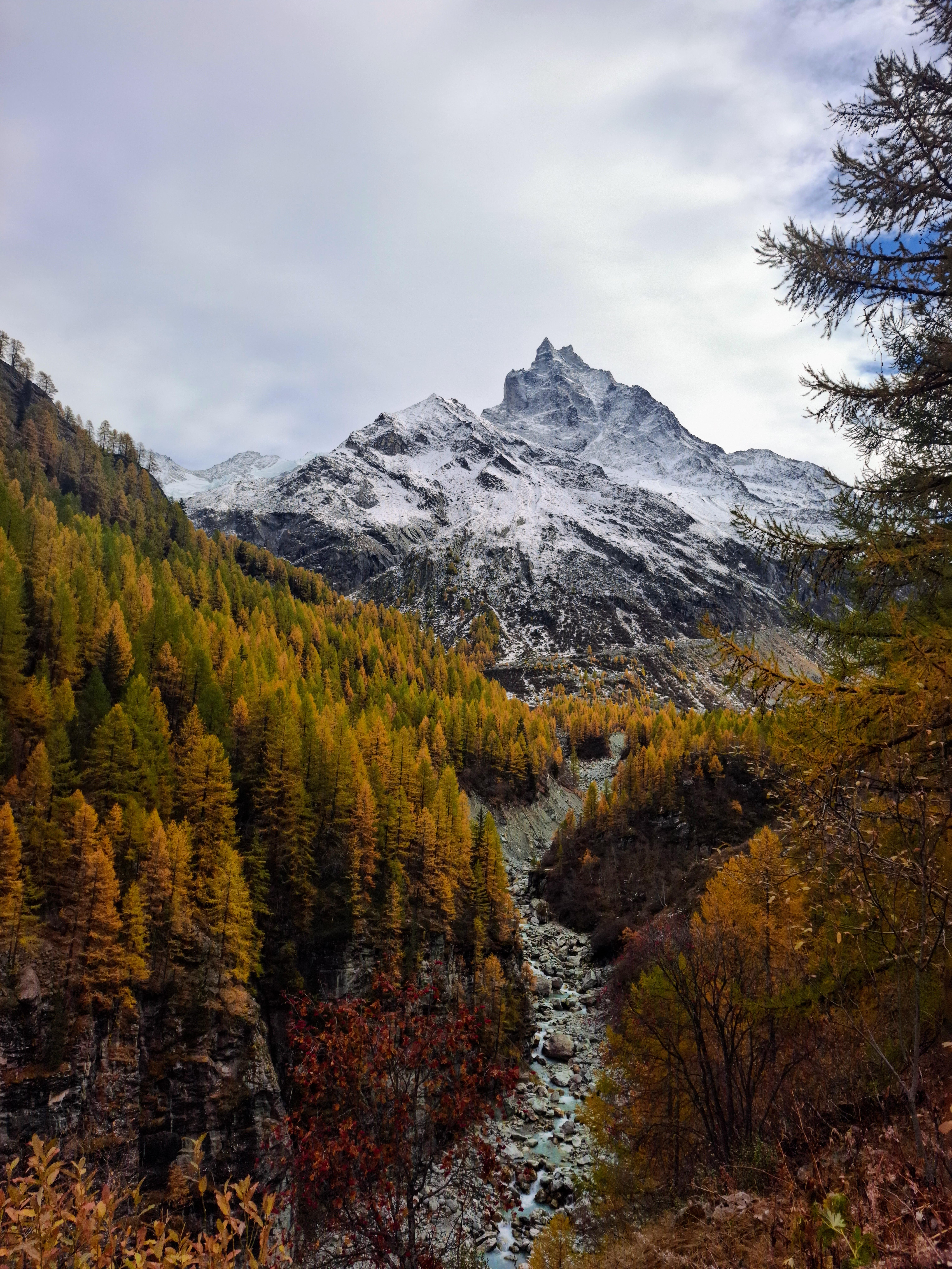 The Besso and its golden larches, Zinal - Switzerland [OC] [6120×8160]

— u/Signal_Bobcat777