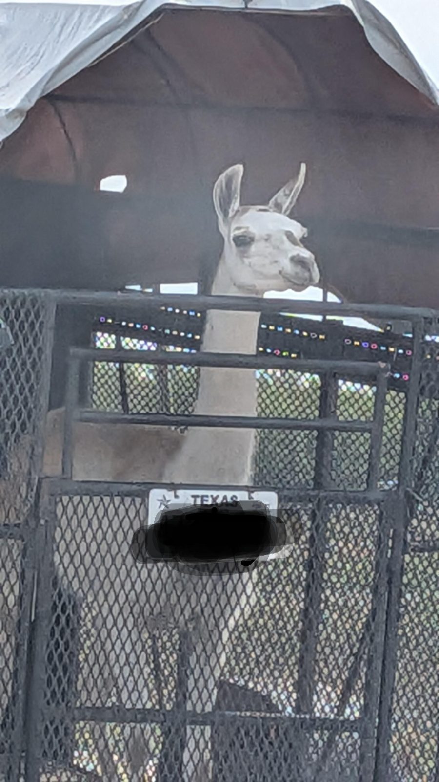 Riding down the highway

— u/possumpigposer