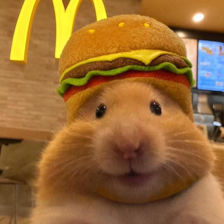 I wish I could be bffl with this guy omg

— u/whimsical-bear