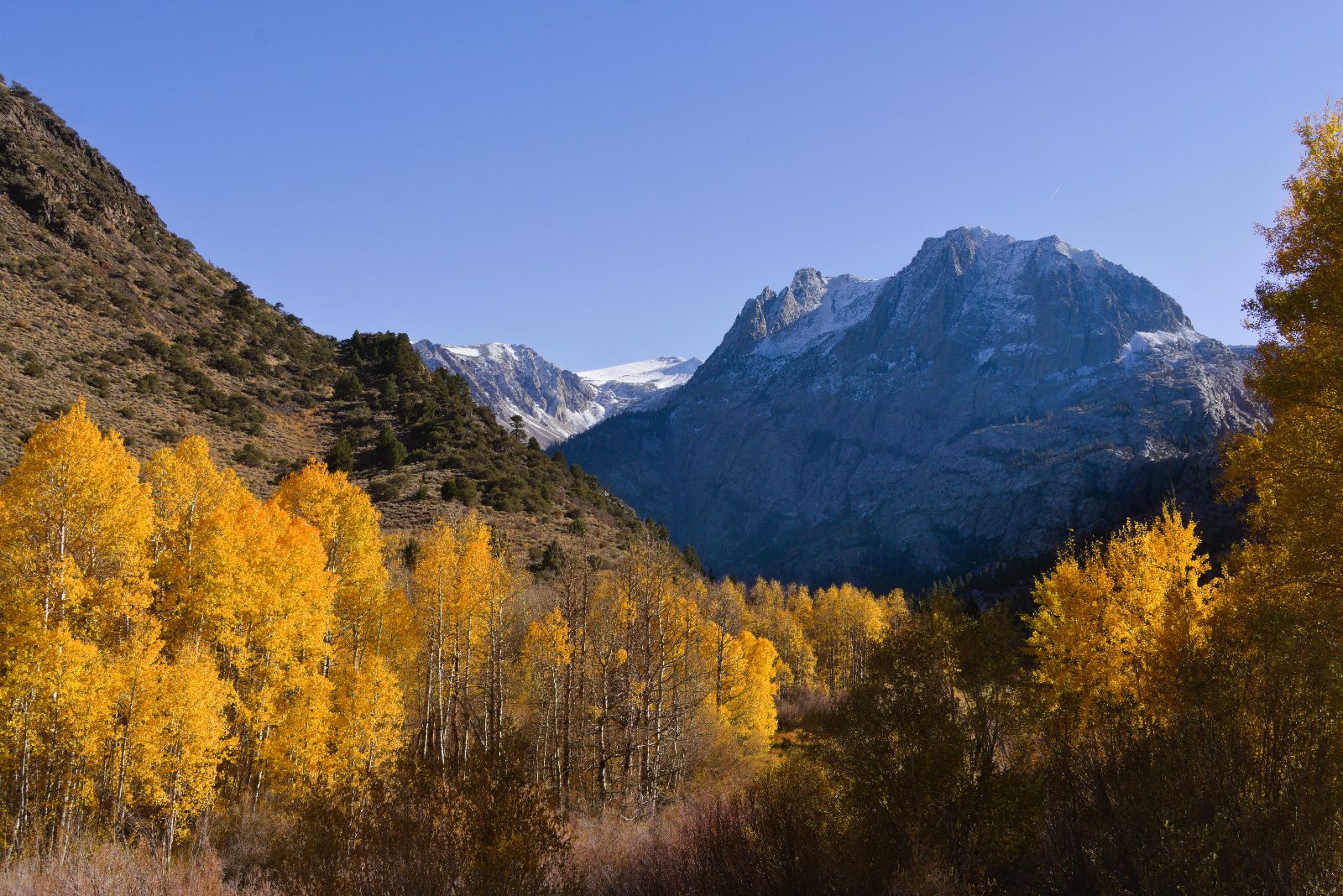 Fall colors in the Eastern Sierra [OC] [6016x4016]

— u/shishiriyer_photo