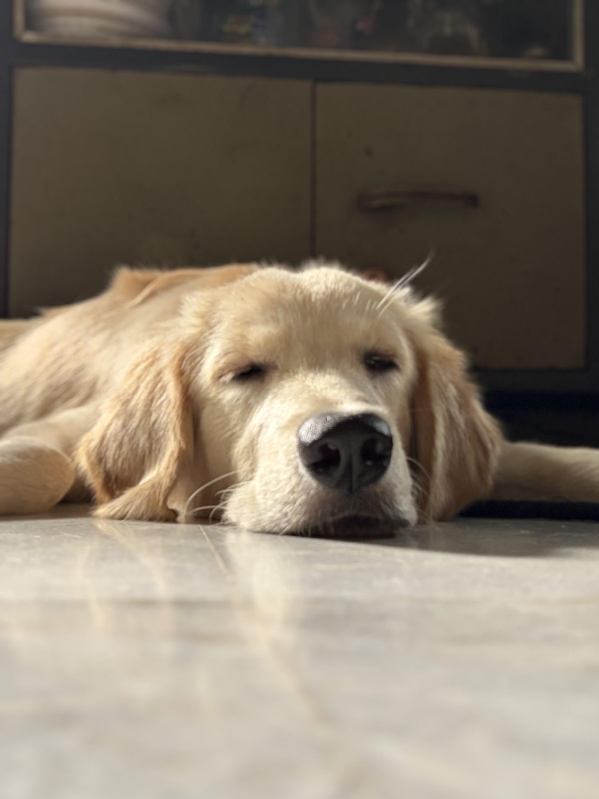 Silence has never looked this peaceful 🥹

— u/revion-nox