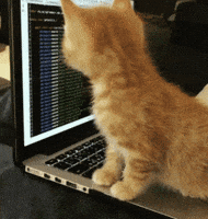 Ville — панель - лаунчер для Windows на Python

Хотел поделиться своим open-source проектом и получить фидбек

Что это в