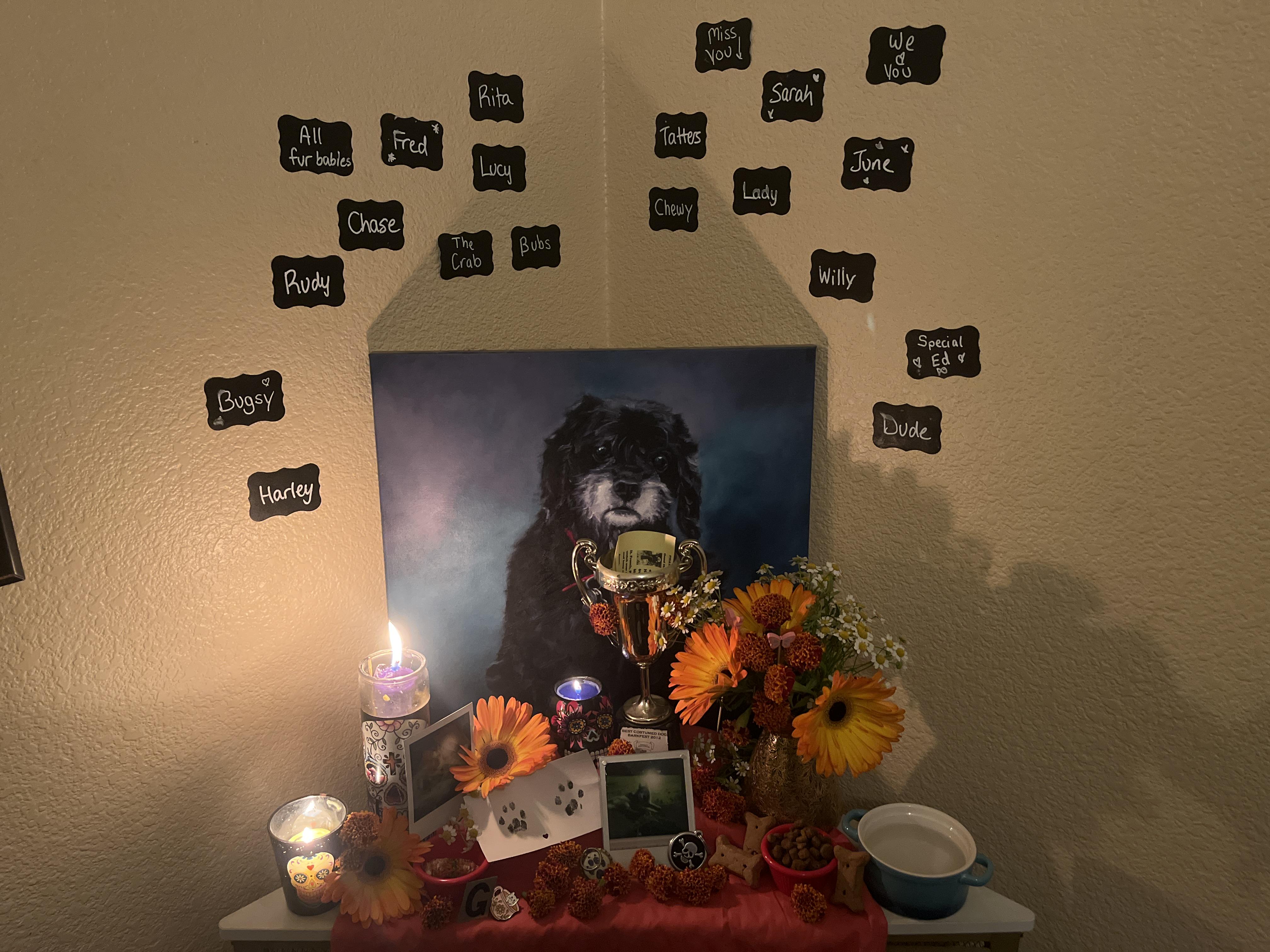 All pets come home first (OC)

— u/Primary_Location