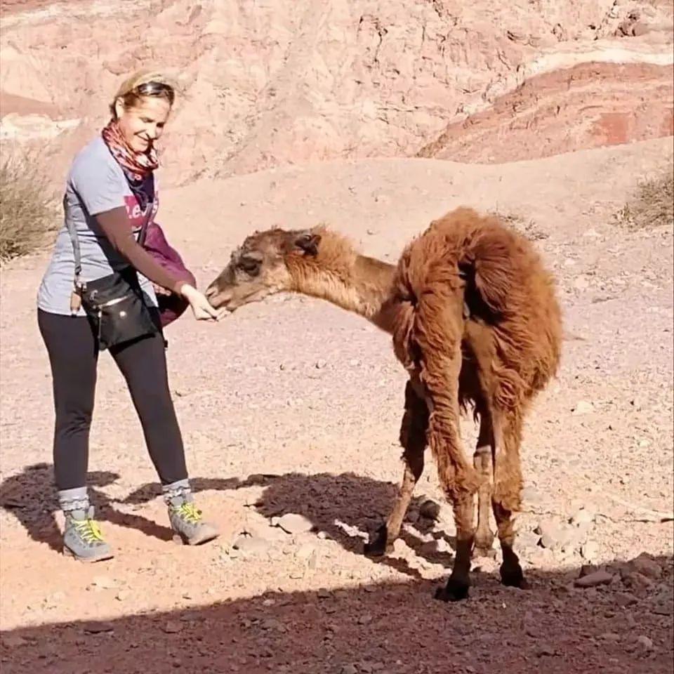 Sharing a snack with my new llama friend! 🦙🌾

— u/cancer-libra07