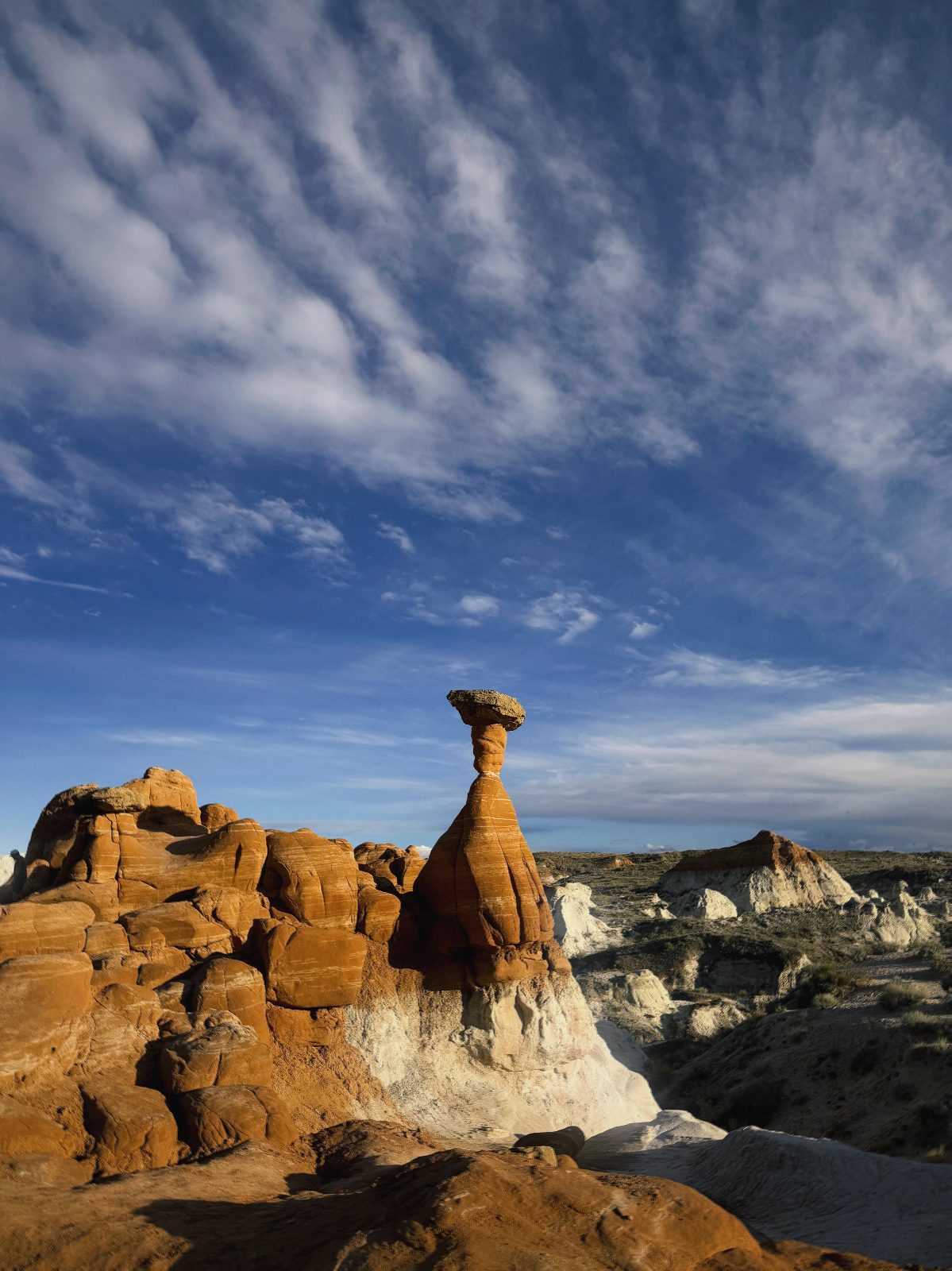 Toadstool Hoodoos, UT [OC] [4284x5712]

— u/mariofasolo