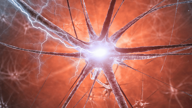 Mice With Parkinson’s-Like Brain Damage Unexpectedly Recovered a Year Later, Raising New Questions About Whether the Bra