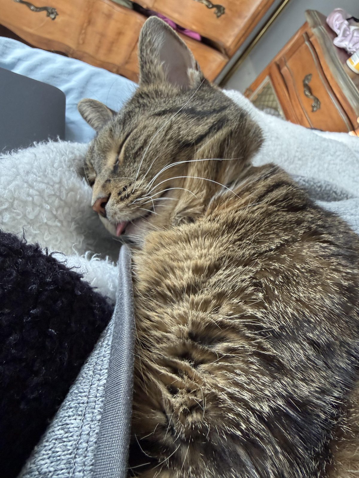 I am feeling unwell today, my nurse fell asleep hehe

— u/hecksfarm