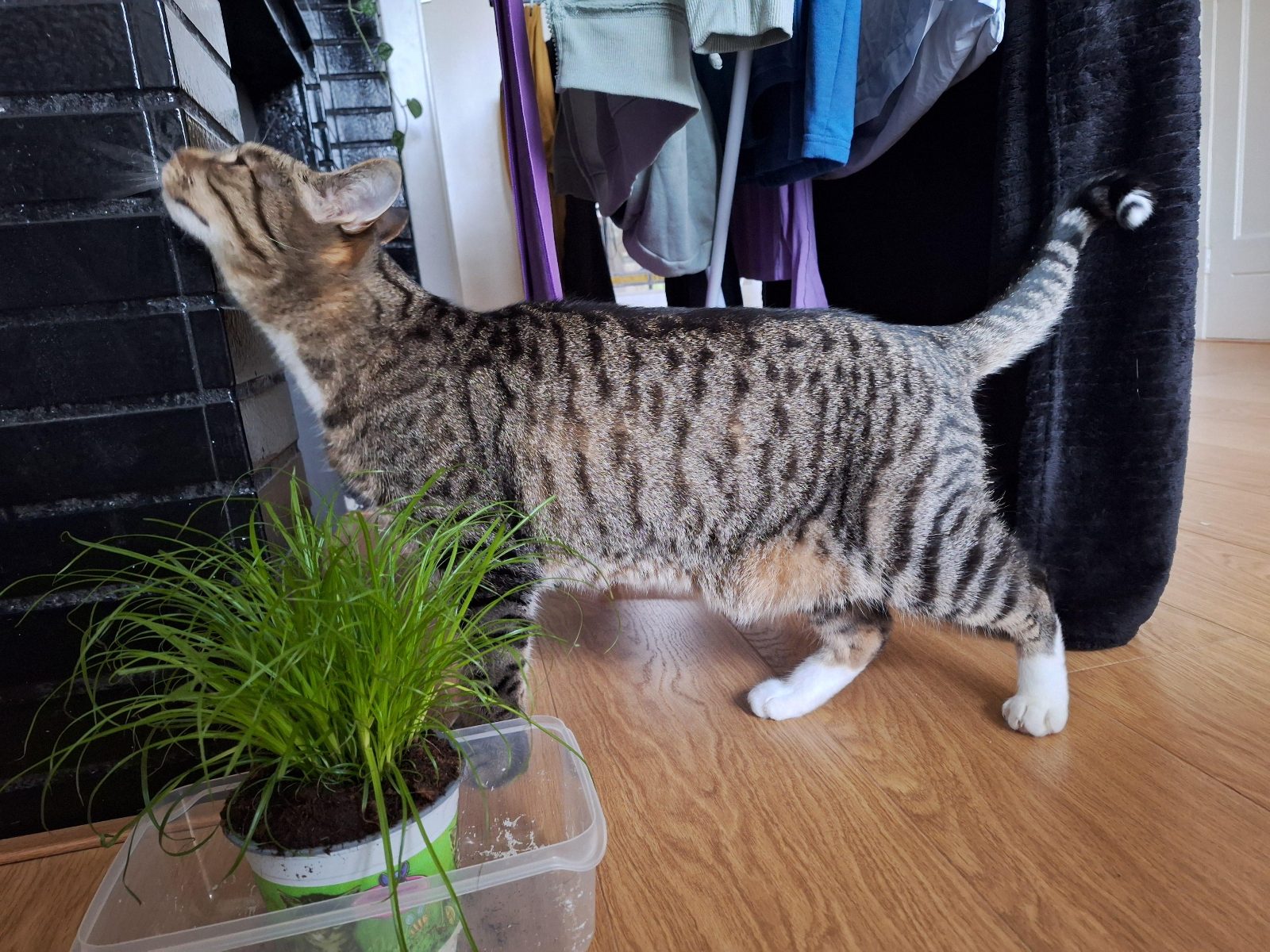Chuck exploring his holiday house

— u/LowDownSlim