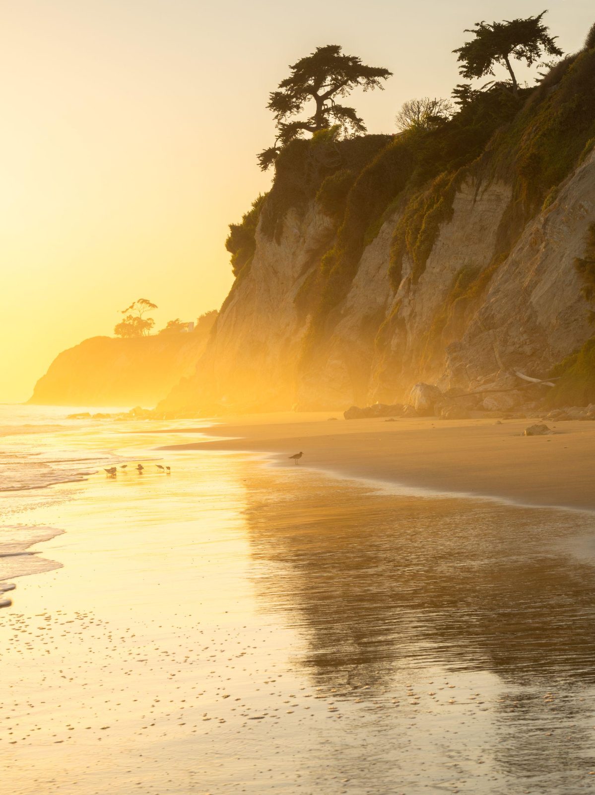 Golden hour along the coast, Santa Barbara, California [OC][2000x2667]

— u/shotsbyliam_