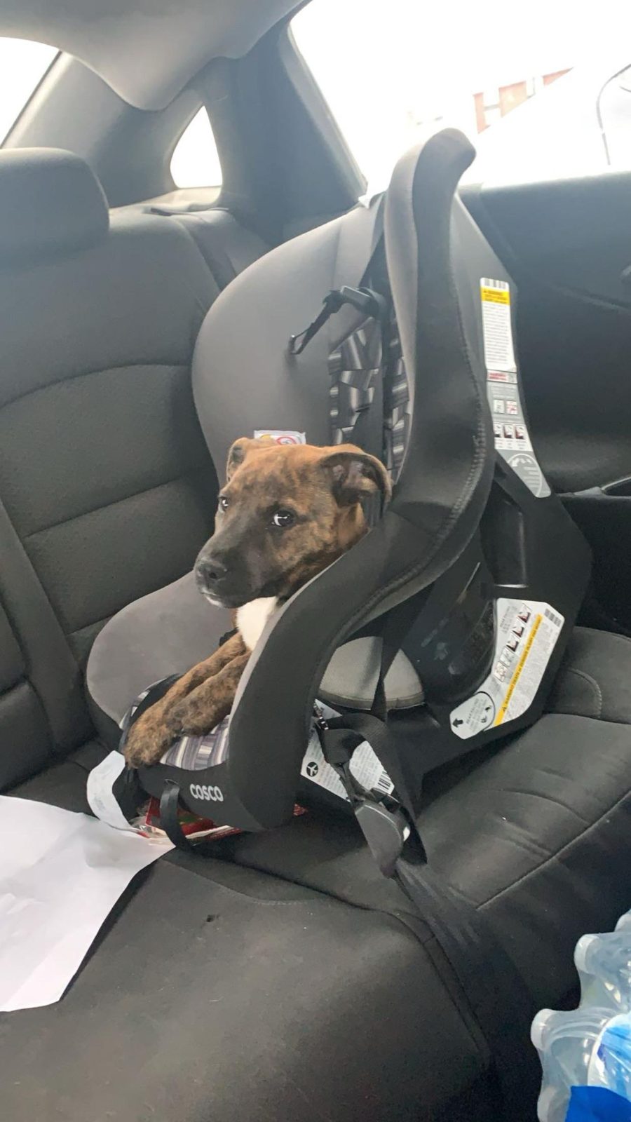 Not sure why she decided to plop in there tbh

— u/Cute_Meal_7140