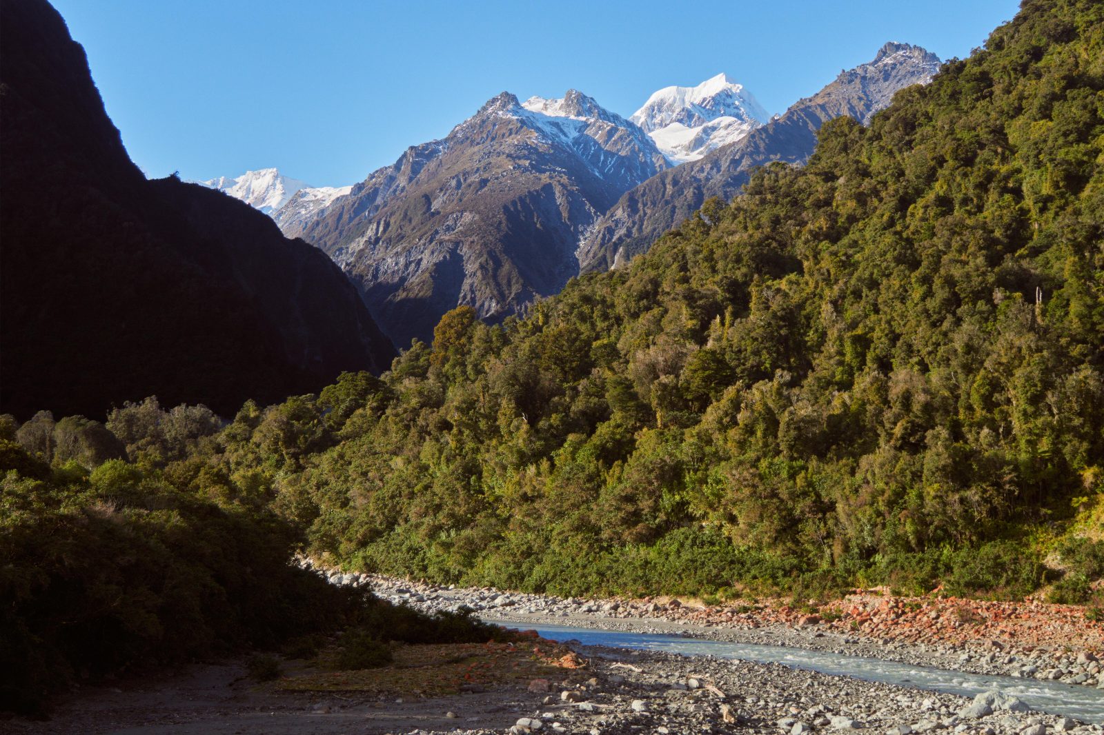 Westland Tai Poutini National Park, New Zealand [OC] [5184x3456]

— u/sonderewander