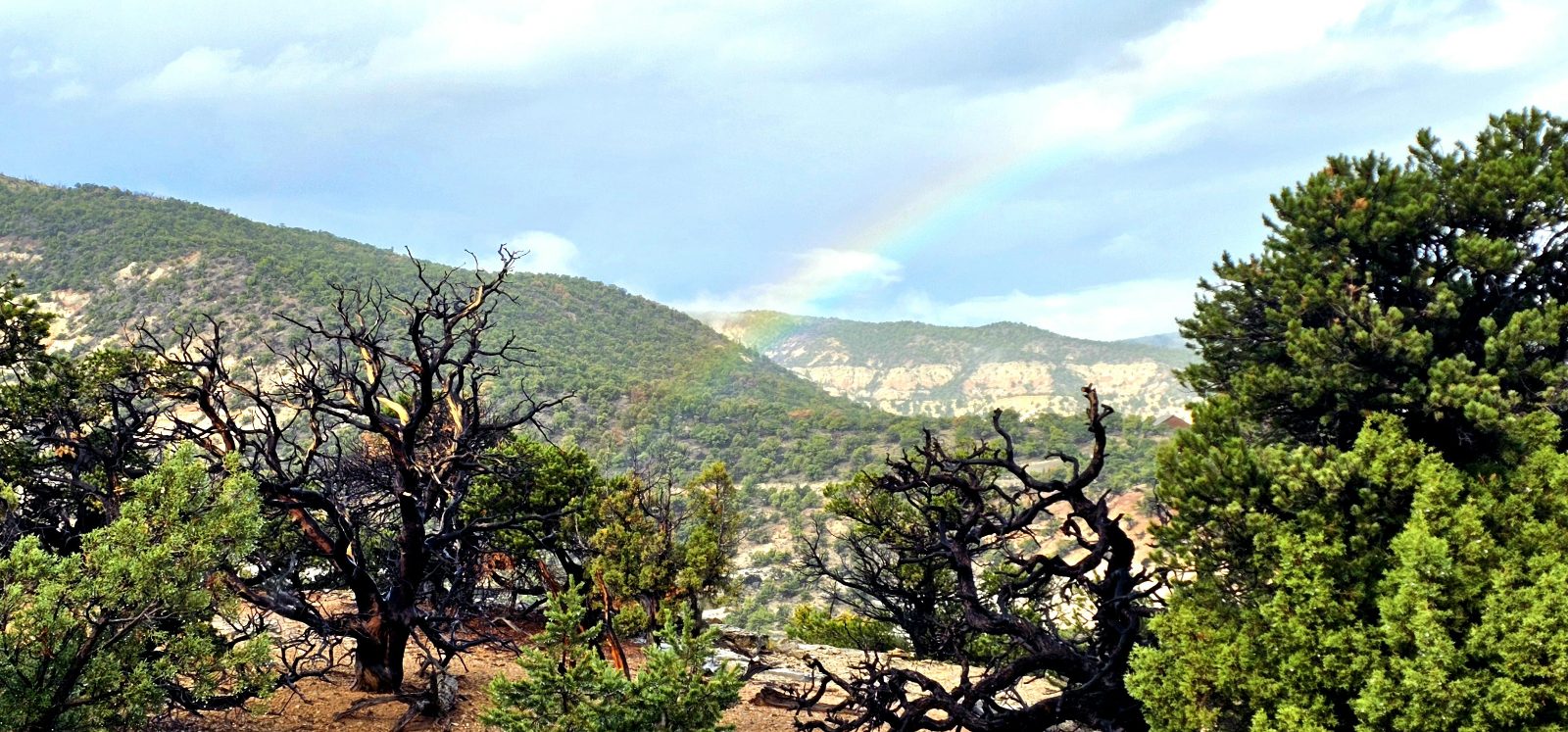 A Faint Rainbow outside Capitol Reef Utah [4000X1868] [OC]

— u/southofakronoh