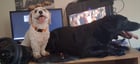 Two cousins enjoying a playdate

— u/Oven-Mission