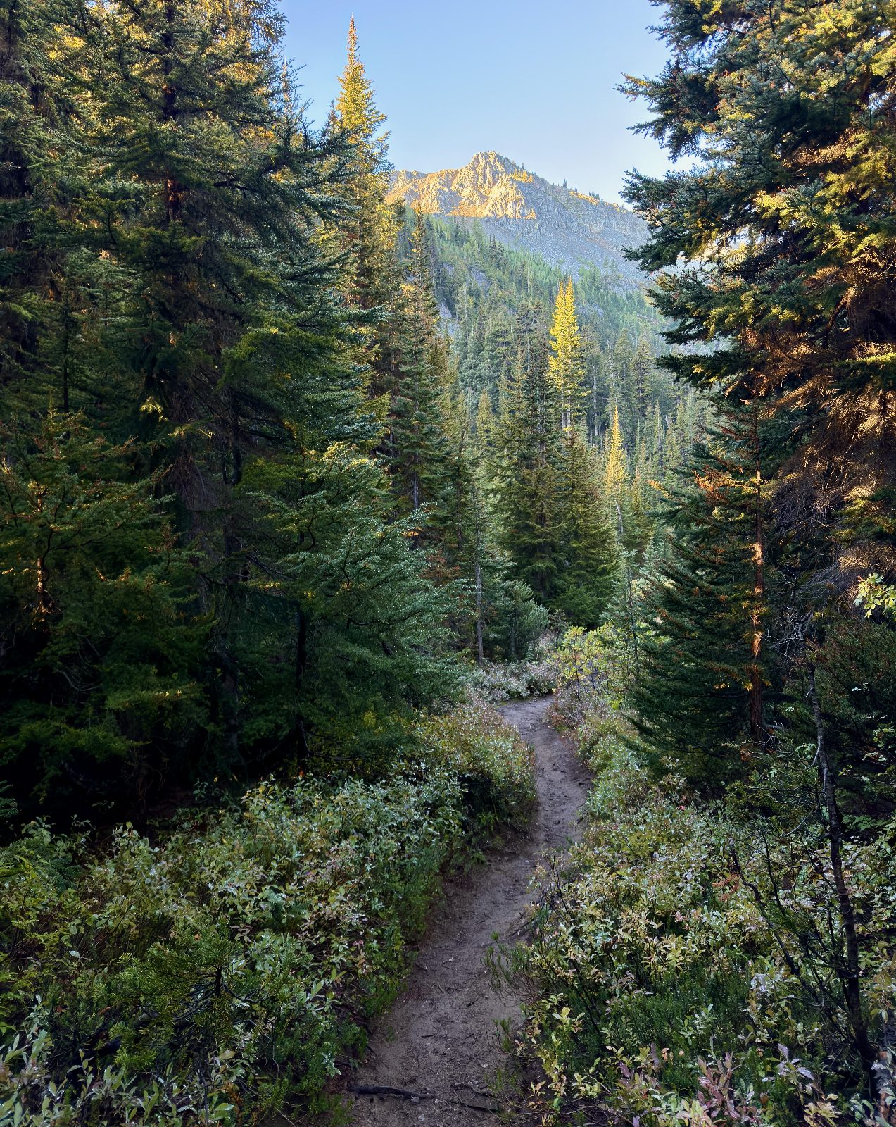 Morning light in the N. Cascades, Washington (6048x7698)(OC)

— u/Alaric_Darconville