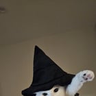 Watch out for the evil witch of Holloween!!

— u/crab_in_heels