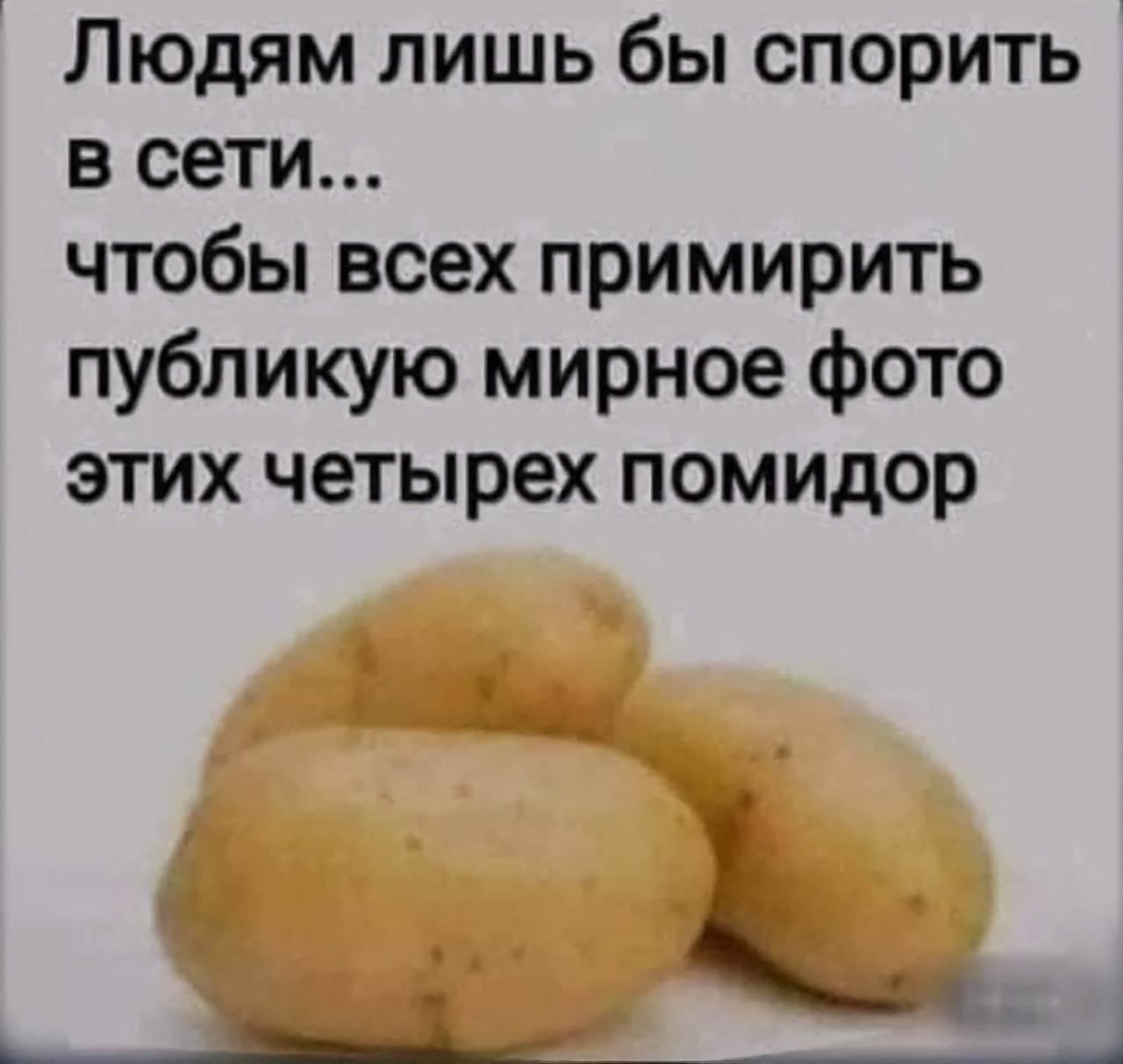 Здесь будут проходить дебаты про огурцы, которые изображены на этой фотографии

Главная цель - доказать всем, что это мо